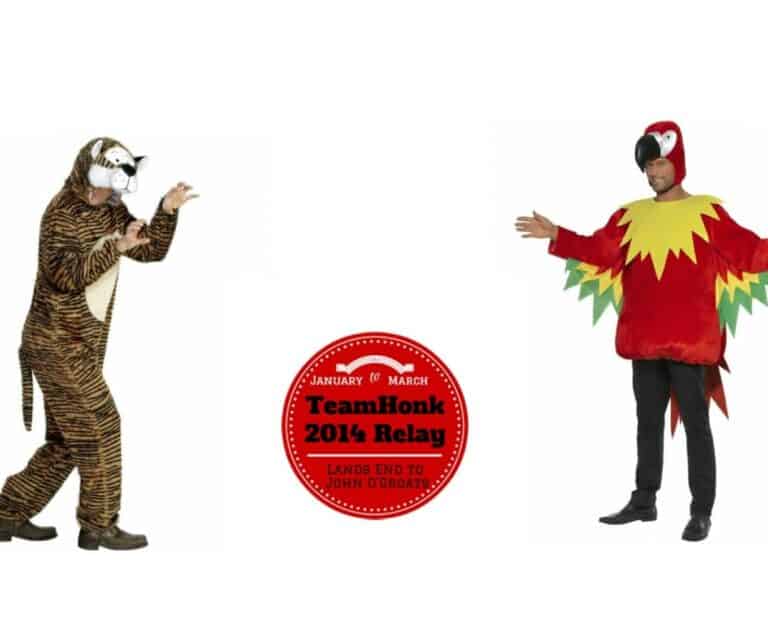 A person in a costume