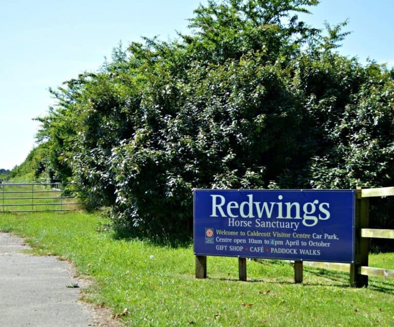 Visit Norfolk | Redwings Horse Sanctuary Caldicott (ID 8394)