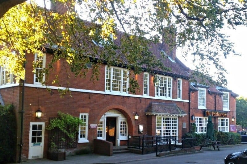 A tree in front of a brick building