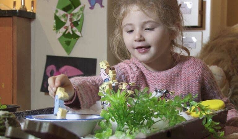 A person sitting at a table with a flower on a plant
