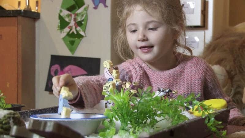 A person sitting at a table with a flower on a plant