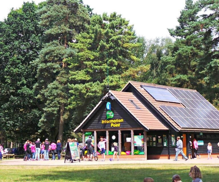 A group of people in a park