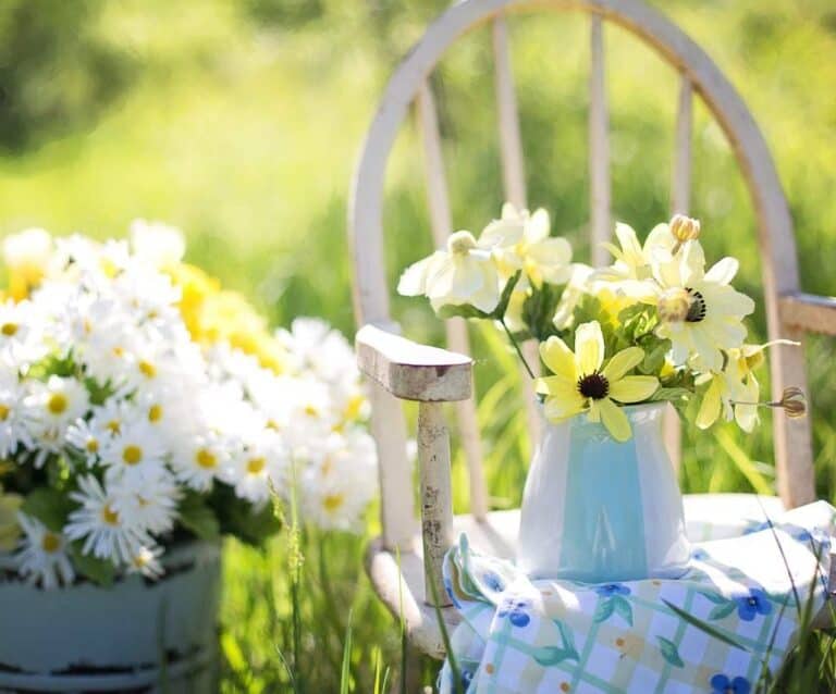 A vase of flowers on a table