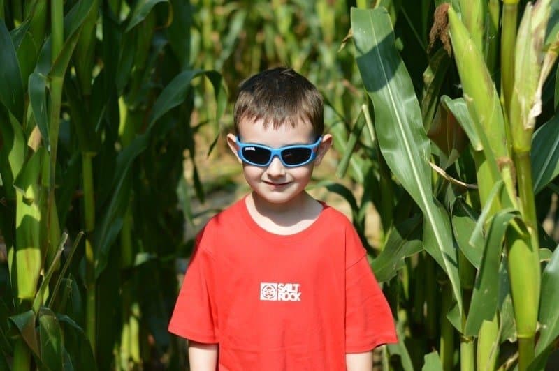 A young boy wearing sunglasses