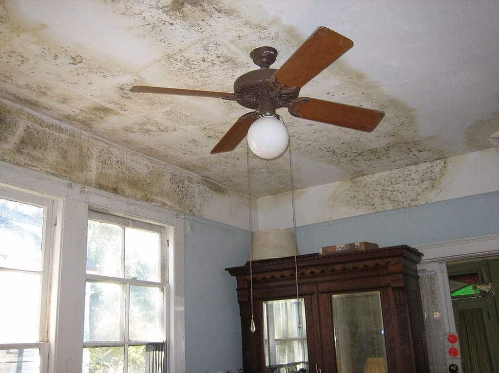 A room filled with furniture and a large window