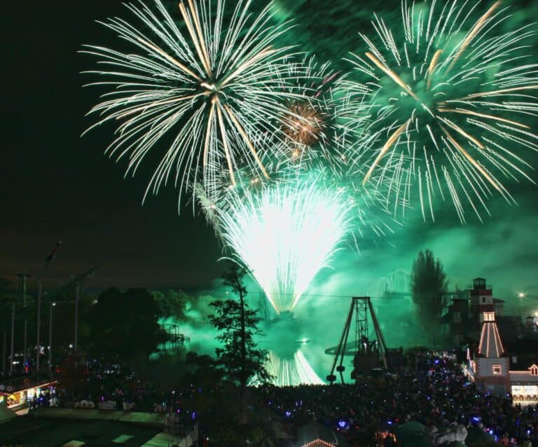 A group of fireworks in the sky