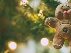 A close up of a teddy bear