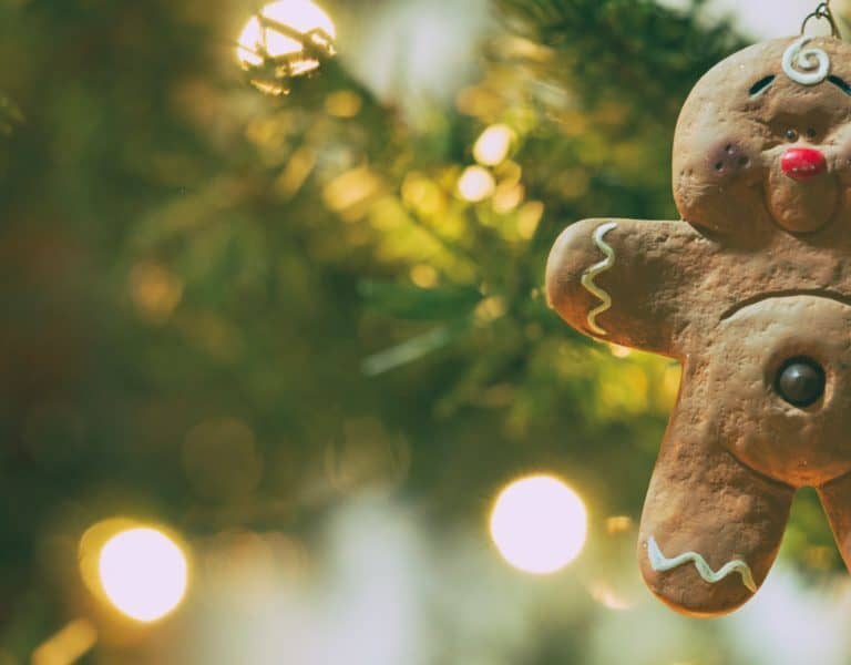 A close up of a teddy bear