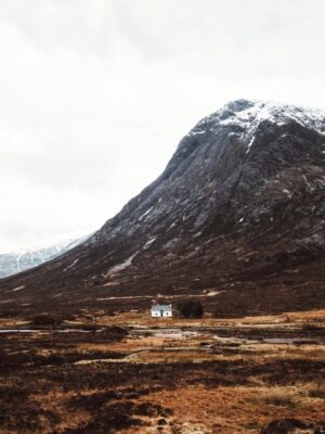 A field with a mountain in the background