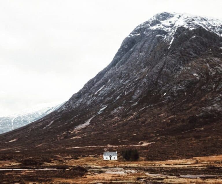 A field with a mountain in the background