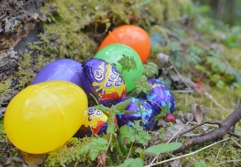 An egg on top of a grass covered field