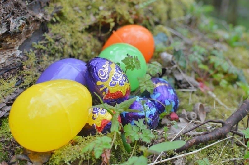 An egg on top of a grass covered field