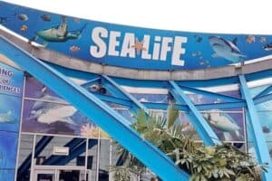 Birmingham and Sea Life