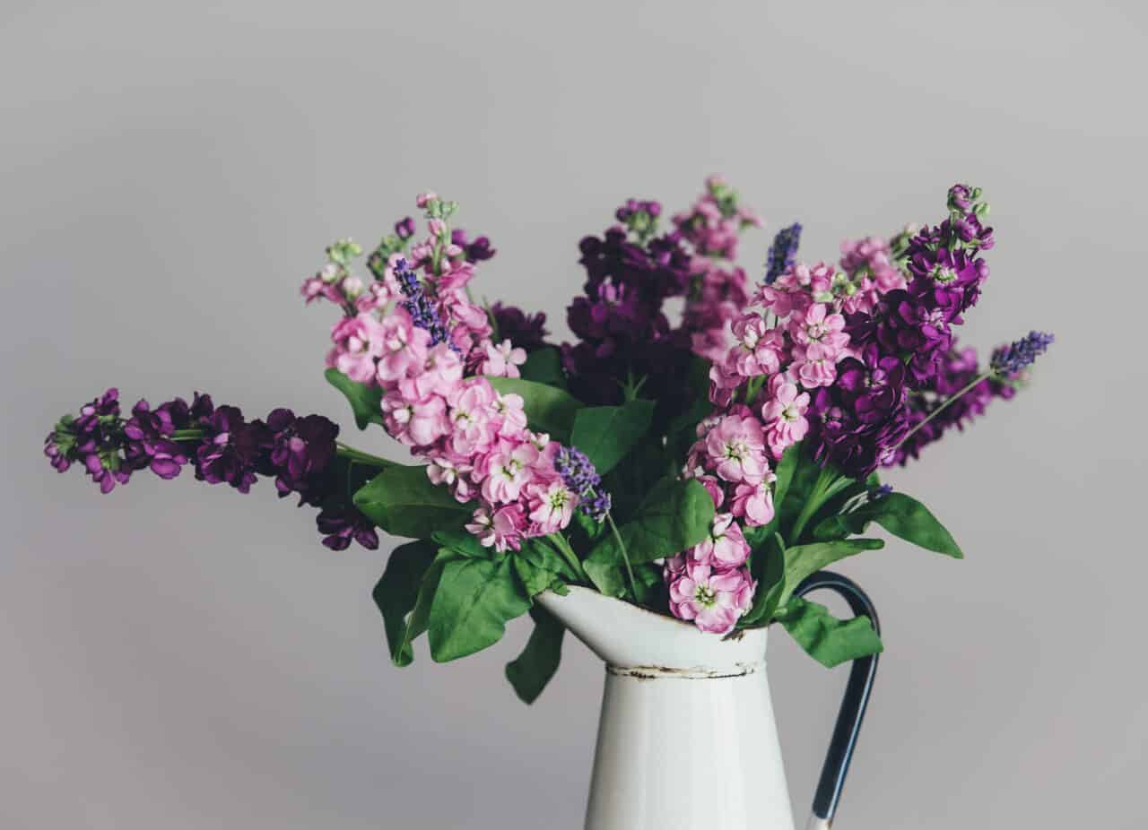 A vase filled with purple flowers