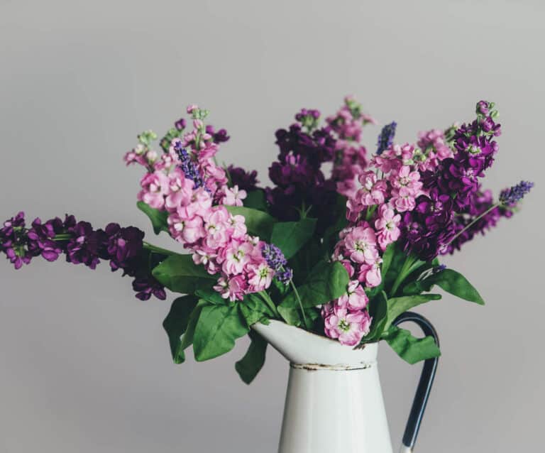 A vase filled with purple flowers