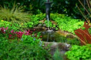 A close up of a flower garden