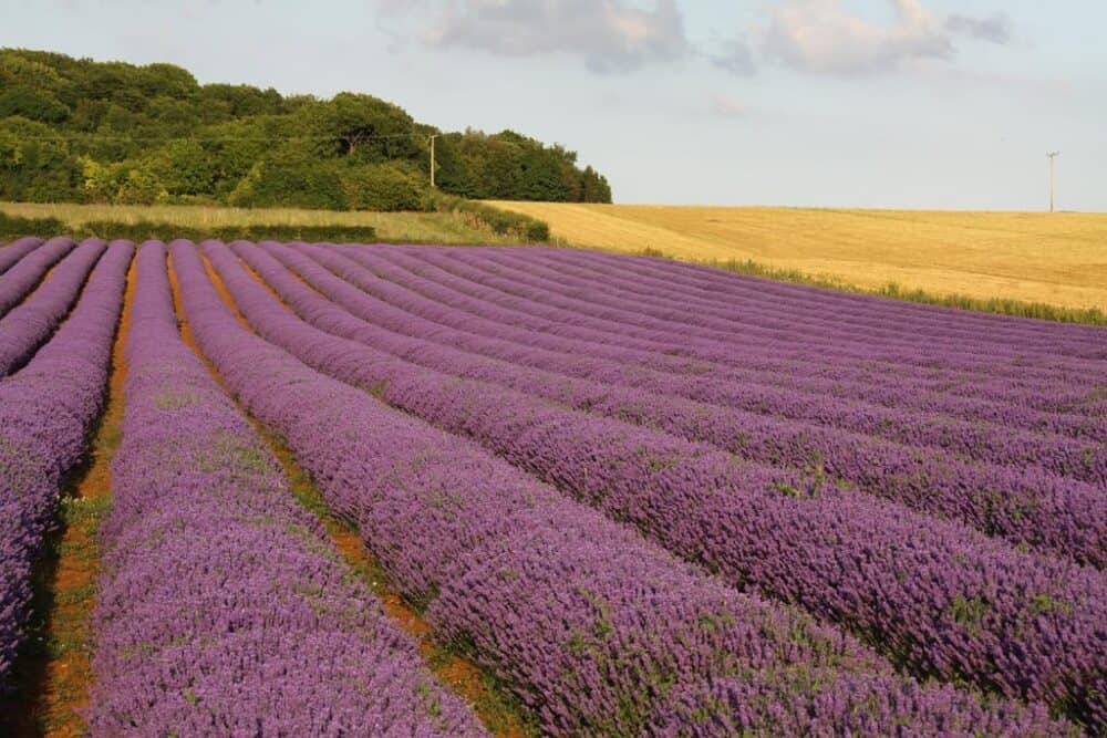 10 Must-see (Secret) Natural Wonders in Britain