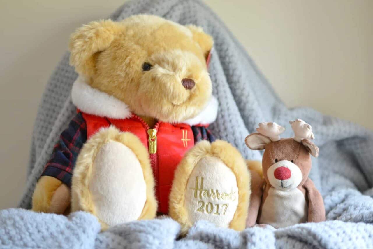 A close up of a bunch of stuffed animals