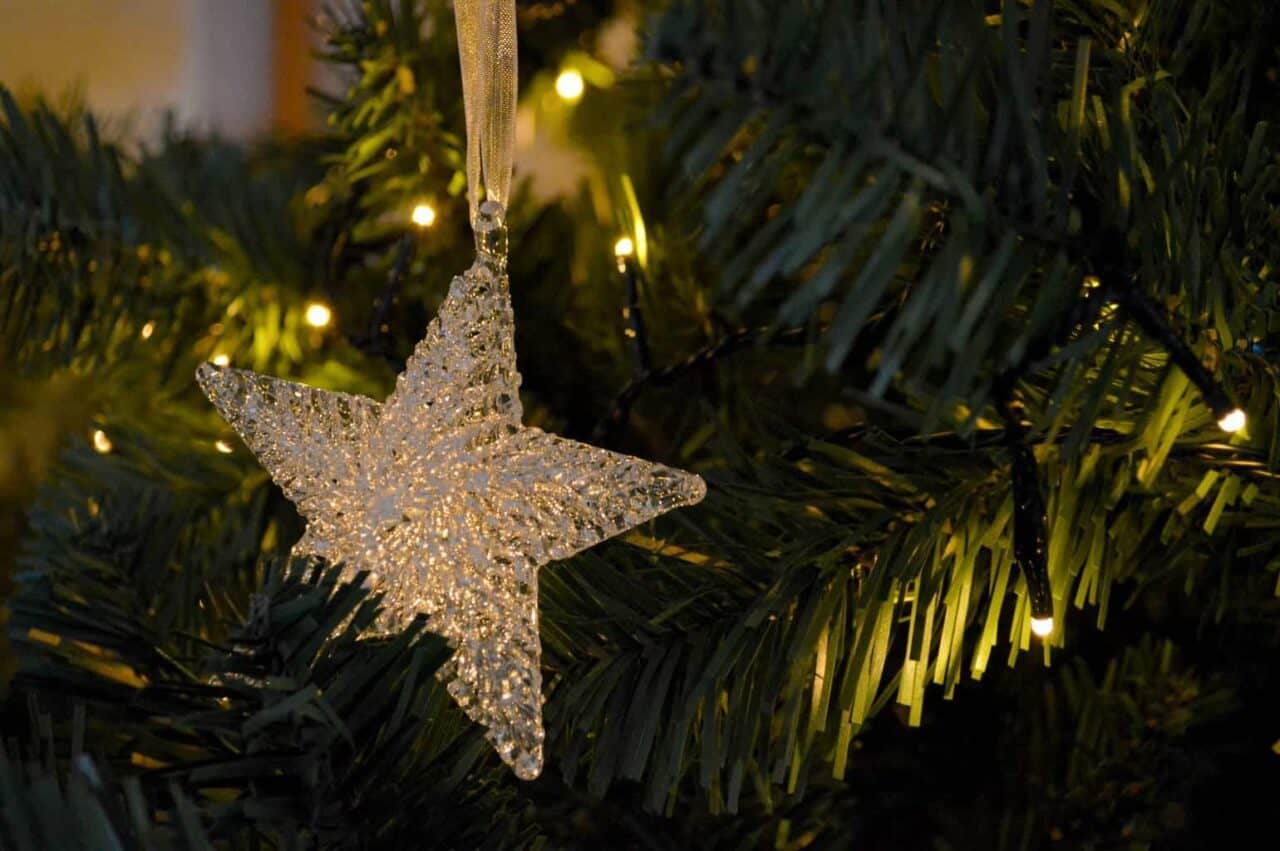 A tree lit up at night