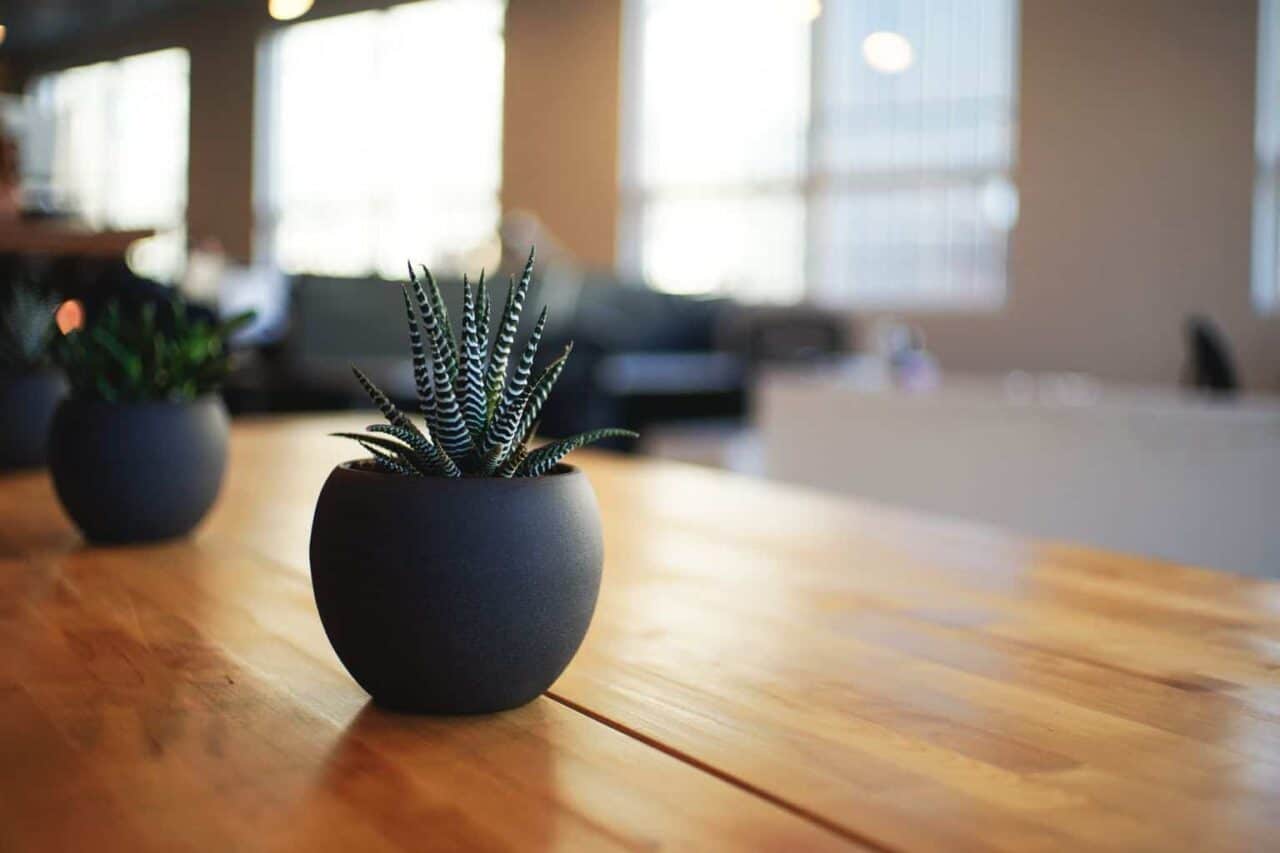 A vase of flowers sitting on top of a wooden table