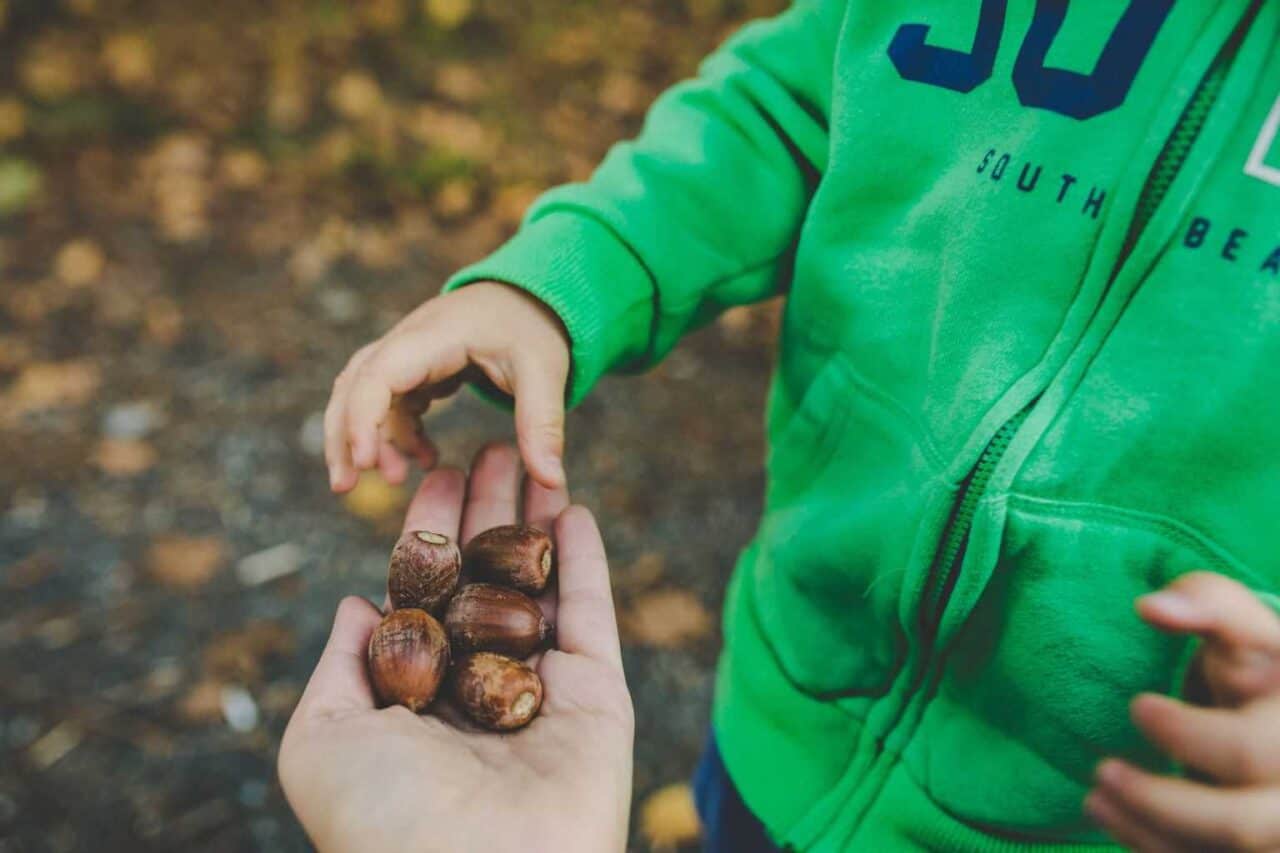 A small child wearing a green shirt