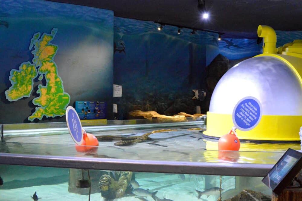 Travel | 5 top family attractions in Great Yarmouth