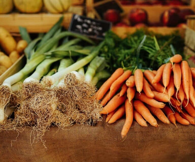 A bunch of different vegetables on display