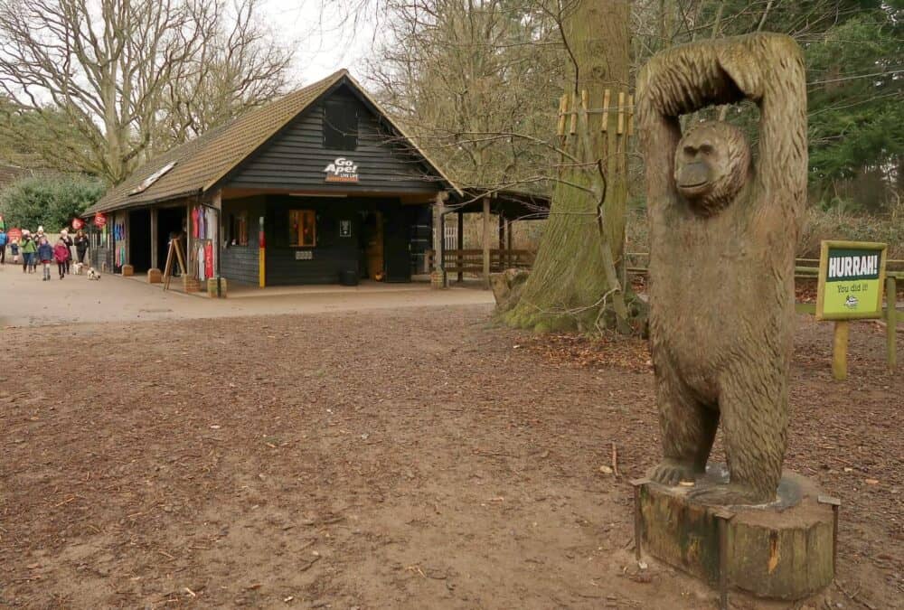 Go Ape Thetford // Tree Top Adventure