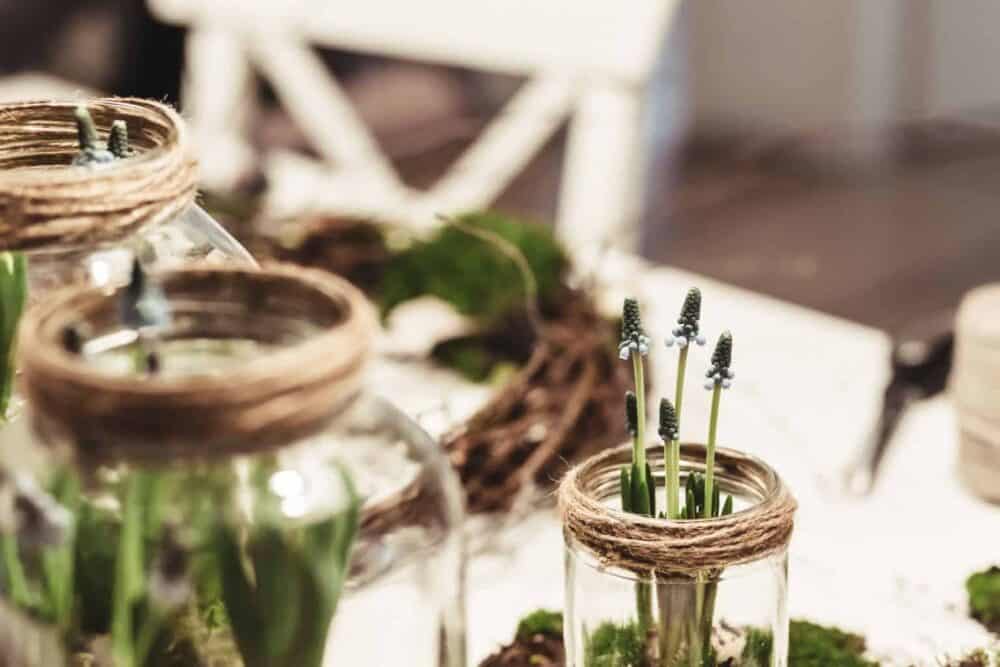 Garden design styles that you can use for any sized garden