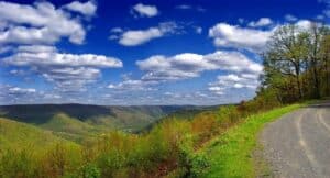 A path with trees on the side of a mountain road