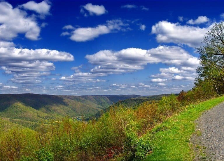 A path with trees on the side of a mountain road