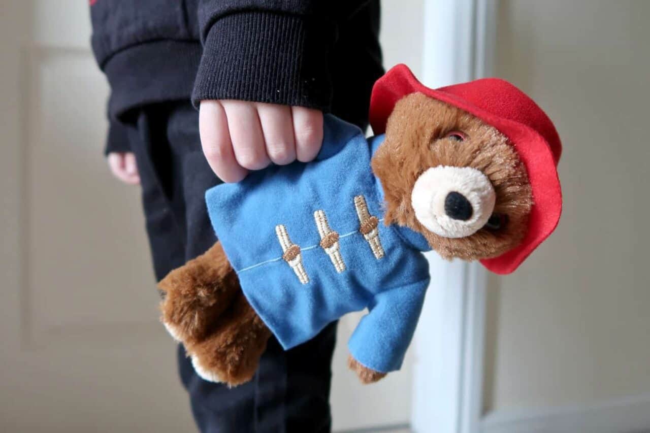 A teddy bear wearing a blue hat