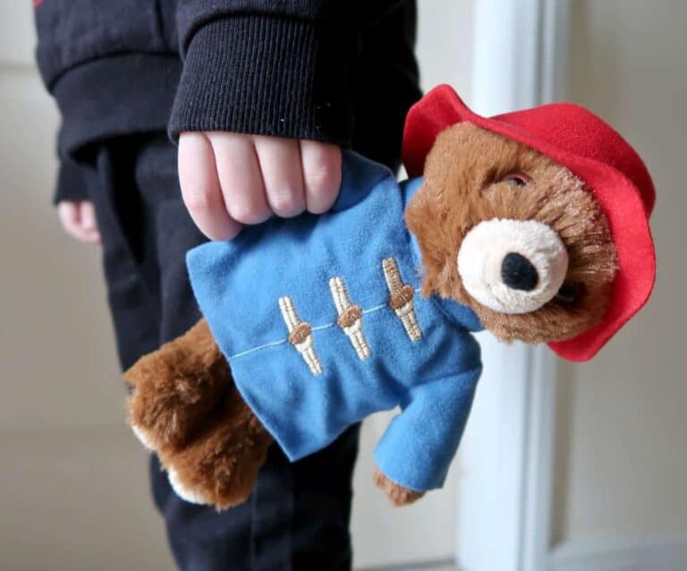 A teddy bear wearing a blue hat