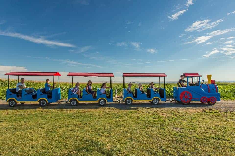 A colorful truck is parked in the grass