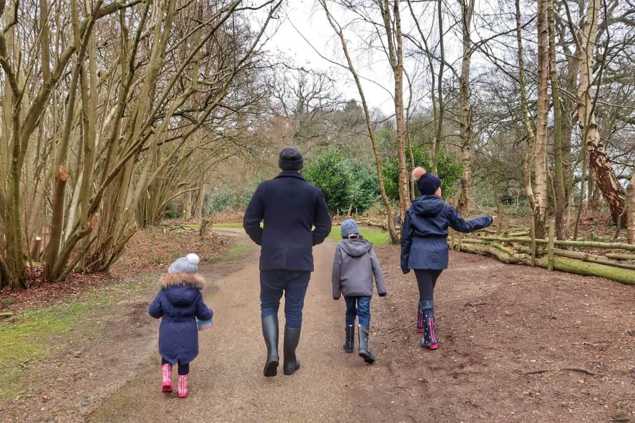 A group of people in a forest