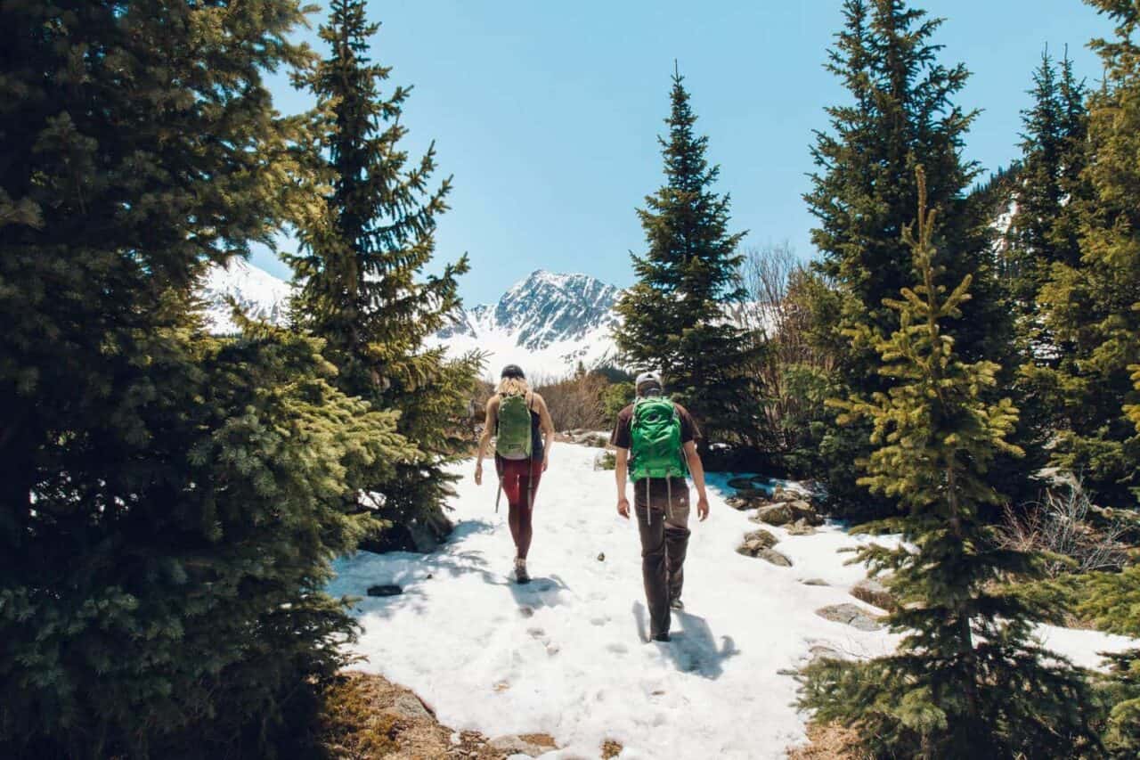 A person cross country skiing in the forest