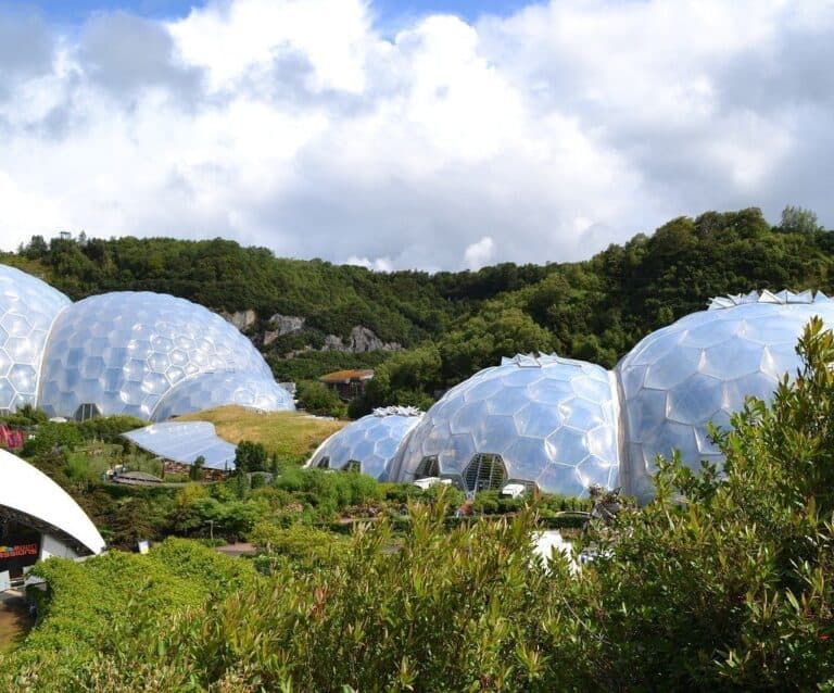 A group of people in front of a large umbrella with Eden Project in the background