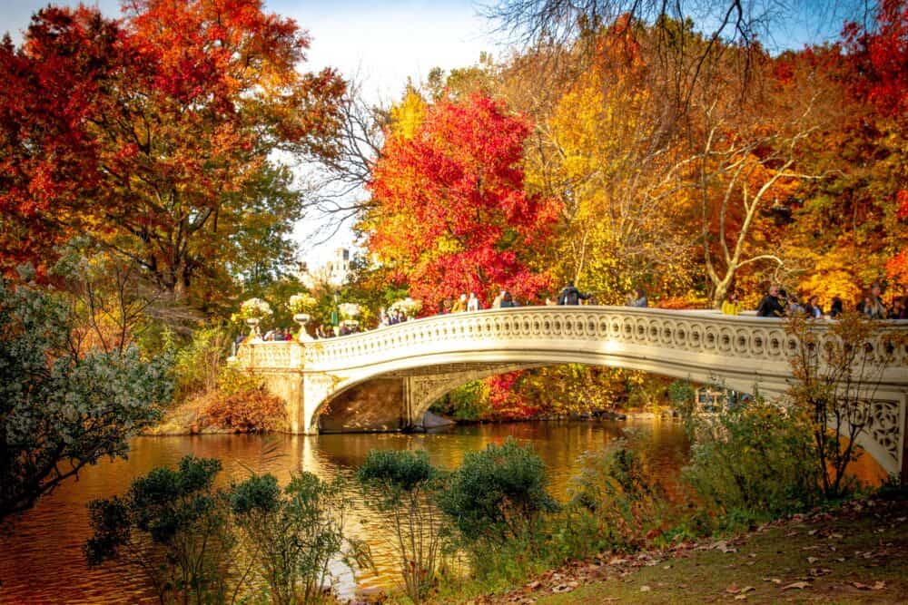 Fun Family Activities in New York