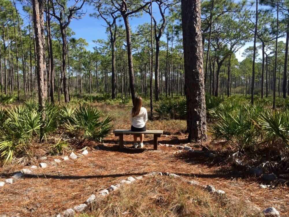 A Helpful Haven: Turning Your Garden Into A Place To Meditate