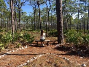 A bench is sitting in the middle of a forest