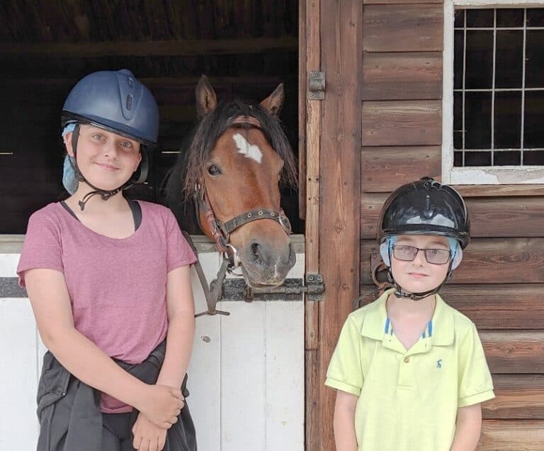 A person standing in front of a horse