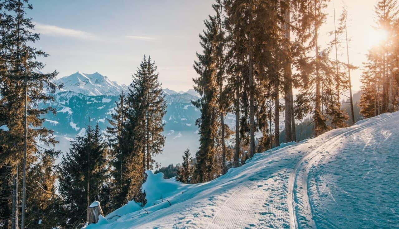 A snow covered slope