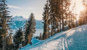 A snow covered slope