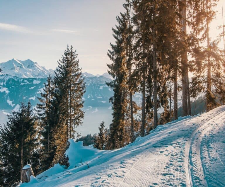 A snow covered slope