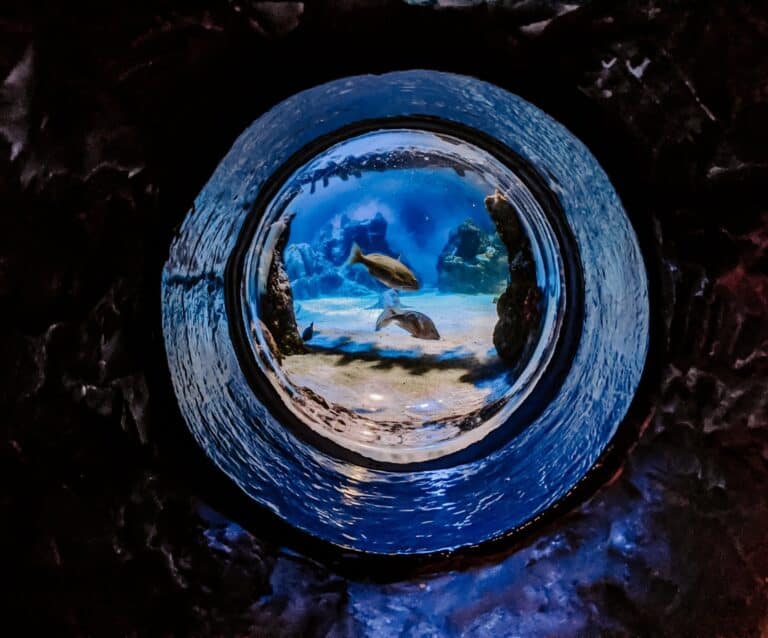 A blue fire hydrant sitting in the dark