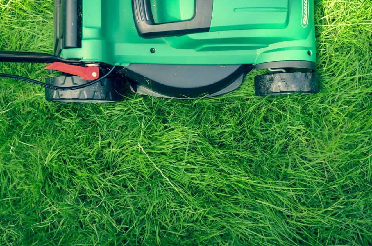 A car parked in a field of green grass