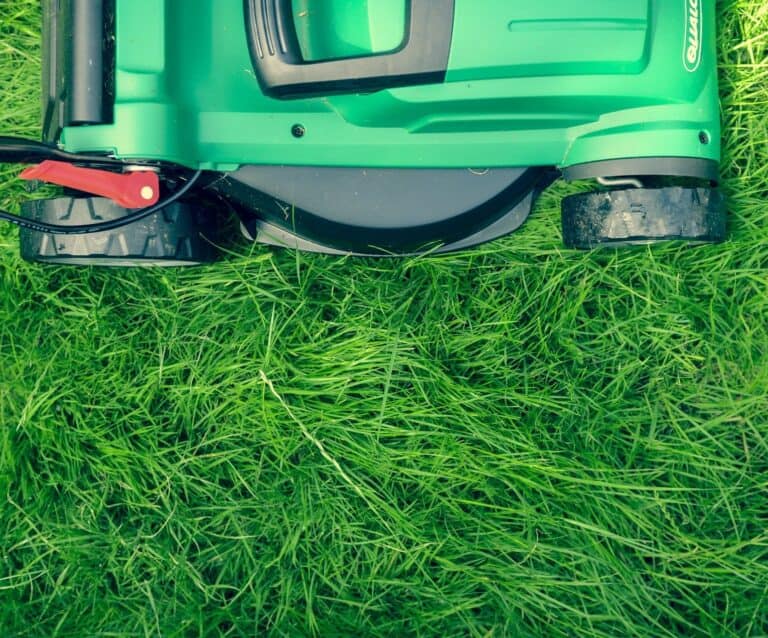 A car parked in a field of green grass