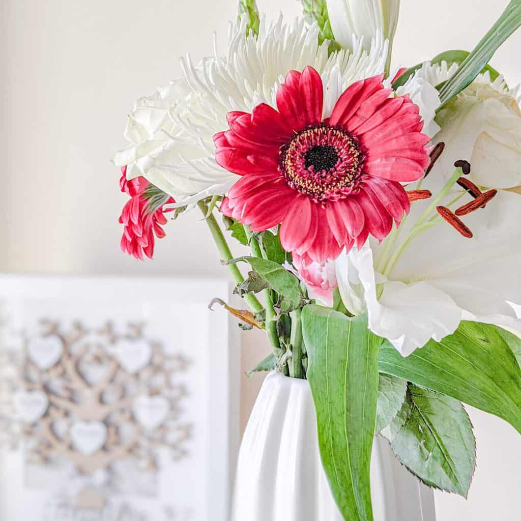 Life in lockdown - pink gerbera flowers