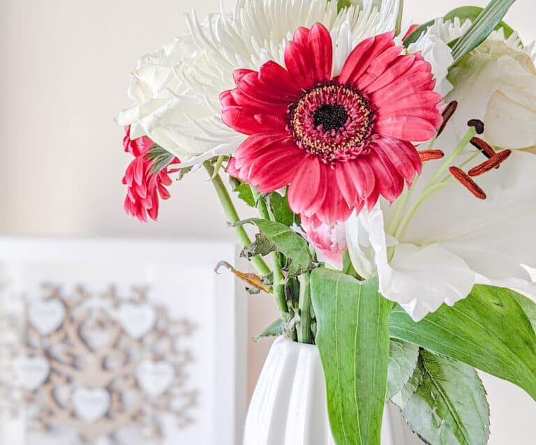 Life in lockdown - pink gerbera flowers