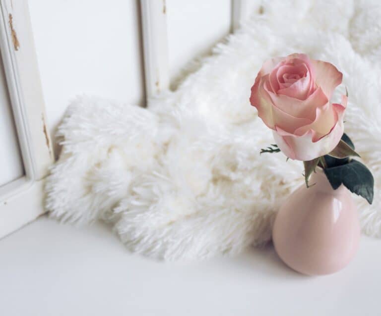 A stuffed animal sitting on a table